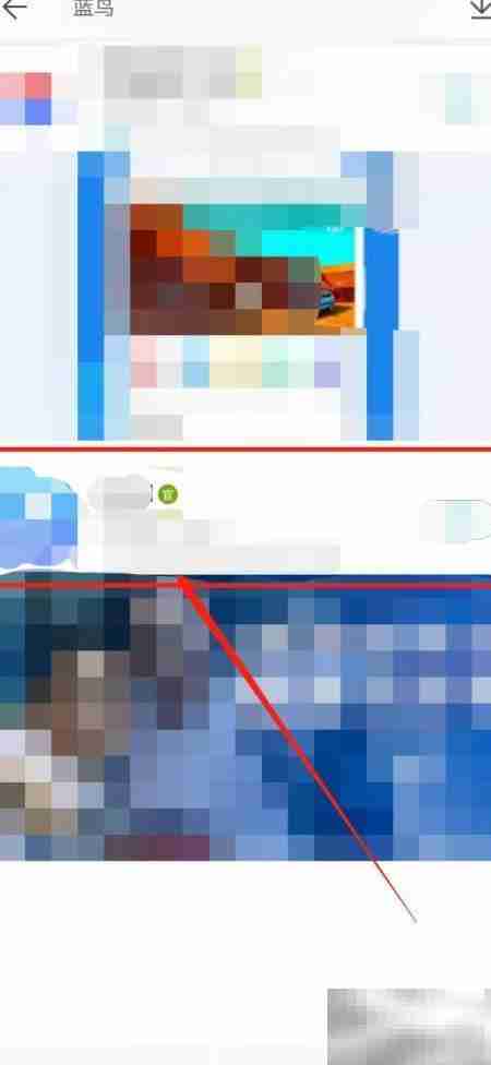 蓝鸟下载方法指南