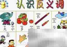 如何判断词语是否为反义词