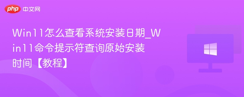 Win11查看安装时间命令教程