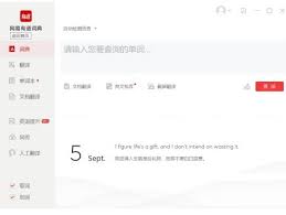 有道词典文档翻译技巧全解析