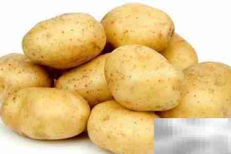 土豆美味菜谱推荐