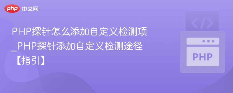 PHP探针怎么添加自定义检测项_PHP探针添加自定义检测途径【指引】