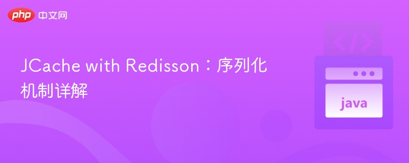JCache with Redisson：序列化机制详解

