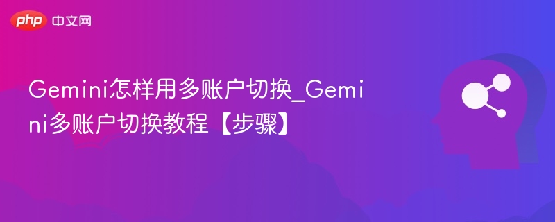 Gemini多账户切换教程及步骤详解