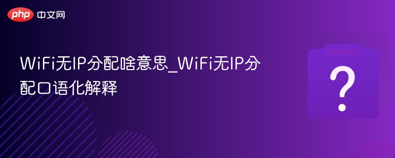 WiFi无IP分配怎么回事？简单说明