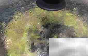 紫苏苦瓜焖肉做法