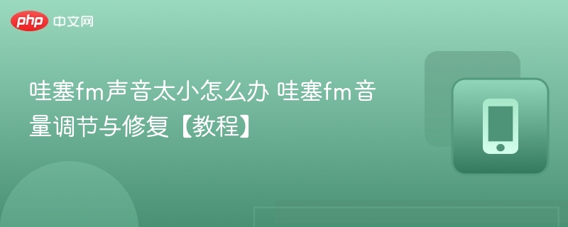 哇塞FM音量调大方法揭秘