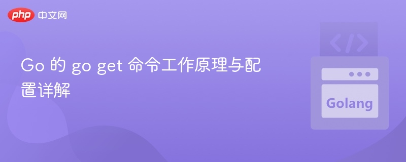 Goget原理与配置详解