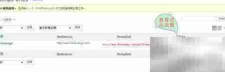 Simple URLs插件使用指南