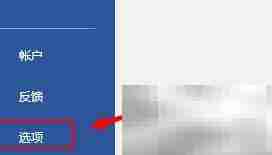 Word2019插入纯文本控件方法