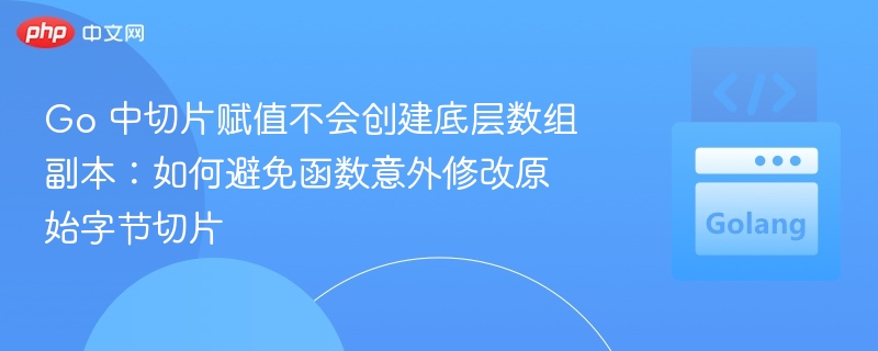 Go切片赋值不复制底层数组，如何防止函数修改原切片？