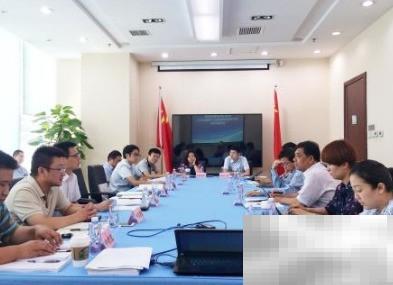 招标角色解析与职责说明