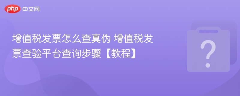 增值税发票真伪查询方法与步骤