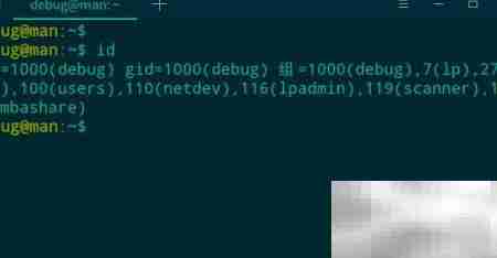 deepin 20查看用户所属组方法