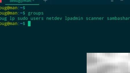 查看deepin20用户所属组命令