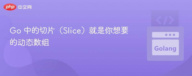 Go 中的切片（Slice）就是你想要的动态数组
