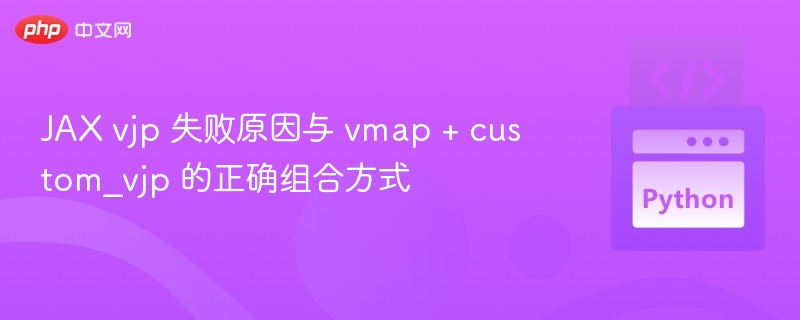 JAXvjp报错原因与vmap使用教程