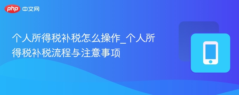 个人所得税补税怎么操作_个人所得税补税流程与注意事项