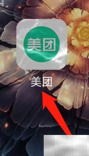 美团查演出电影信息方法详解