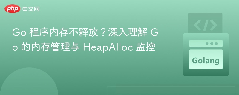 Go内存不释放？HeapAlloc内存管理解析