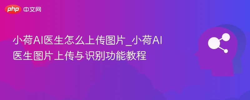 小荷AI医生怎么上传图片识别