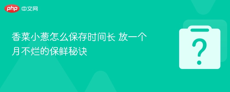 香菜小葱保鲜技巧，放一个月不坏方法
