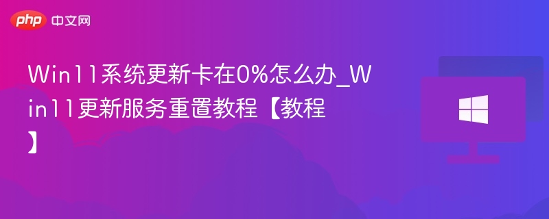 Win11更新卡0%怎么解决