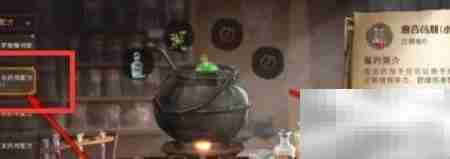 哈利波特:魔法药剂炼制指南