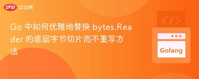 Go中优雅替换bytes.Reader底层切片方法