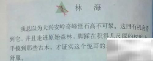 林海精华使用全攻略与解析