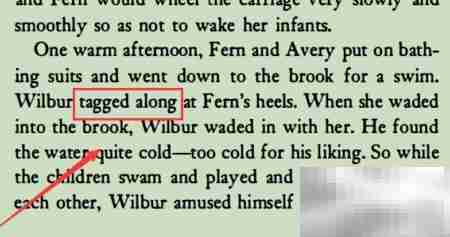 Tag Along是什么意思