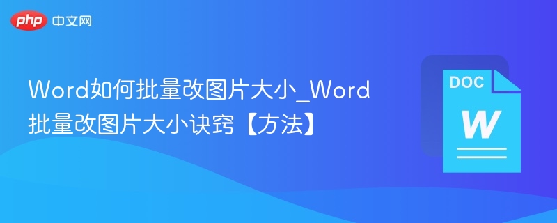 Word批量调整图片大小方法分享