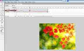 Macromedia Flash 8怎么制作动态贺卡