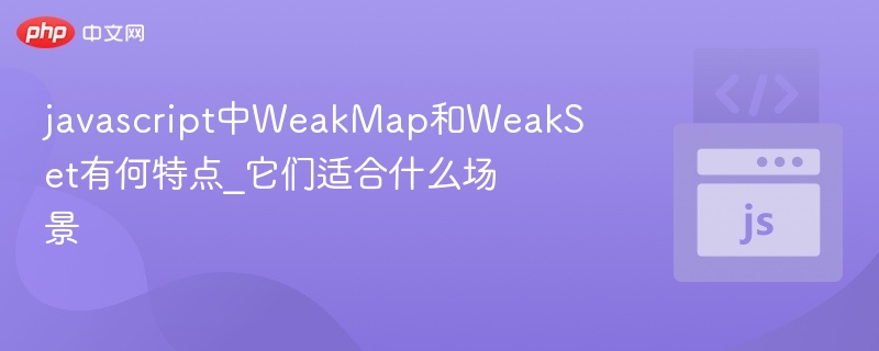 WeakMap与WeakSet：弱引用数据结构详解