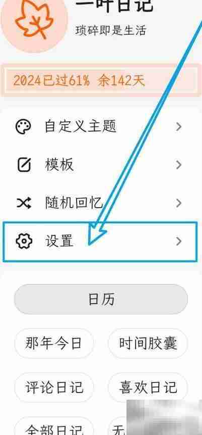 一叶日记导出过滤标签设置