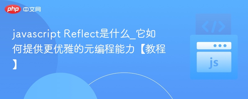 javascript Reflect是什么_它如何提供更优雅的元编程能力【教程】