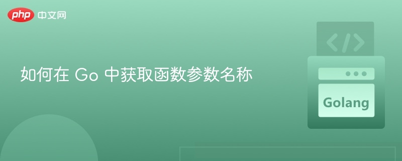 如何在 Go 中获取函数参数名称
