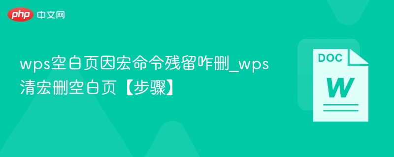 WPS宏残留怎么清理空白页