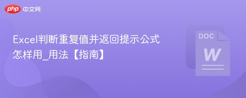 Excel重复值判断公式详解