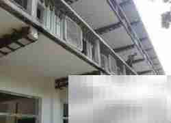 农村老房修缮指南