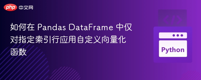 PandasDataFrame指定行应用函数技巧