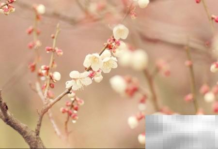 Win10任务栏时钟关闭方法