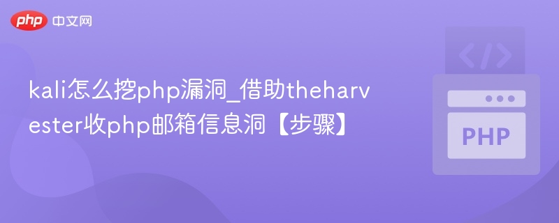 kali怎么挖php漏洞_借助theharvester收php邮箱信息洞【步骤】