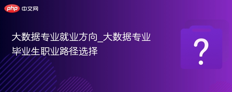 大数据专业就业方向_大数据专业毕业生职业路径选择