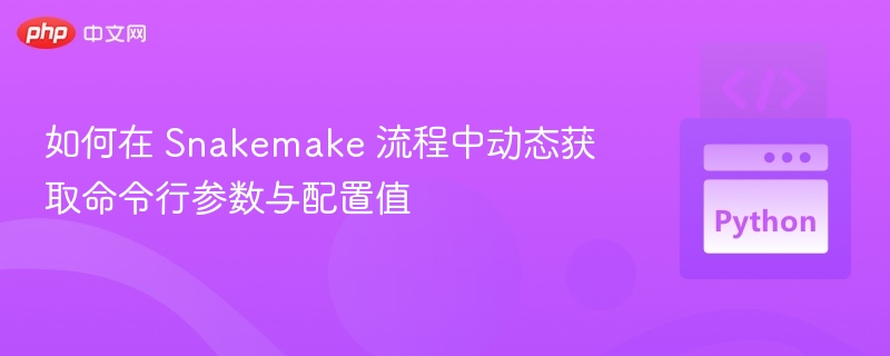 如何在 Snakemake 流程中动态获取命令行参数与配置值