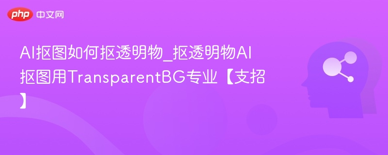AI抠图如何处理透明物体？TransparentBG详解