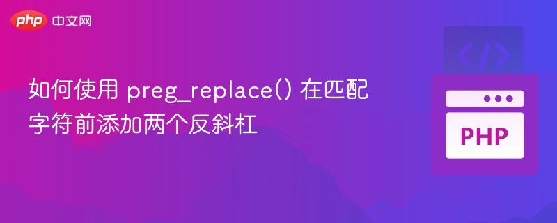 如何使用 preg_replace() 在匹配字符前添加两个反斜杠
