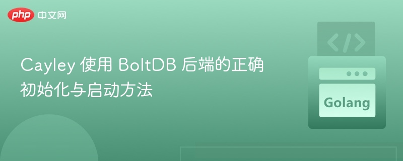 Cayley 使用 BoltDB 后端的正确初始化与启动方法