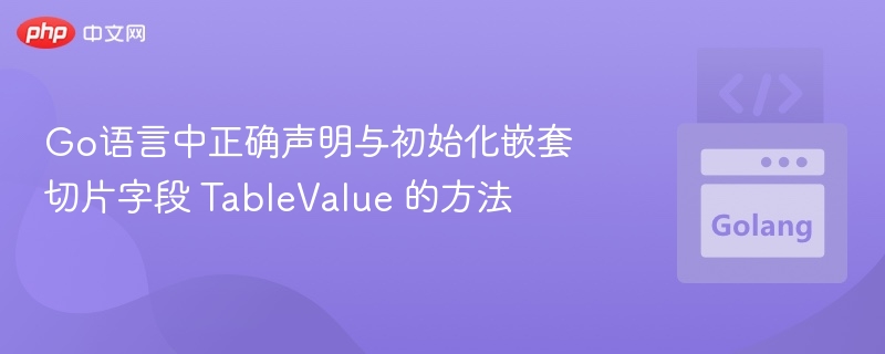 Go语言嵌套切片TableValue用法详解