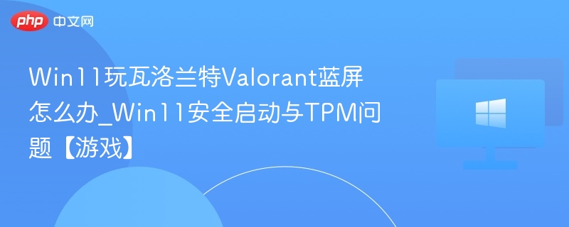 Win11玩Valorant蓝屏怎么解决